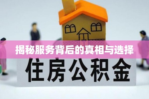 新河揭秘服务背后的真相与选择