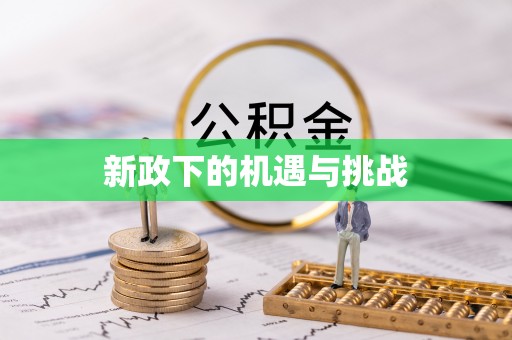 新河新政下的机遇与挑战