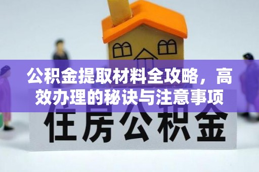 新河公积金提取材料全攻略，高效办理的秘诀与注意事项