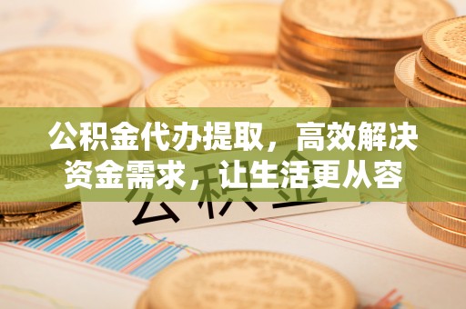新河公积金代办提取，高效解决资金需求，让生活更从容