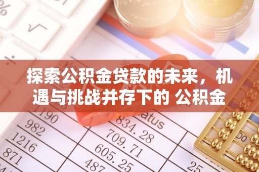 新河探索公积金贷款的未来，机遇与挑战并存下的 公积金贷款风险防控