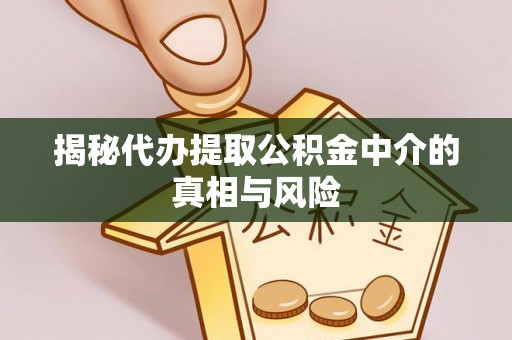 新河揭秘代办提取公积金中介的真相与风险
