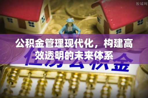 新河公积金管理现代化，构建高效透明的未来体系