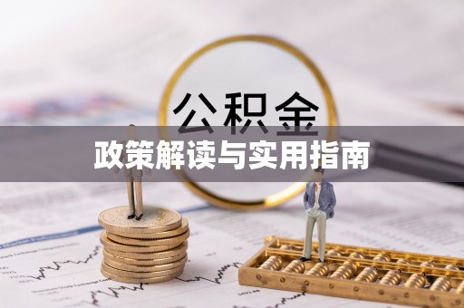 新河政策解读与实用指南