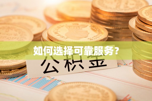新河如何选择可靠服务？