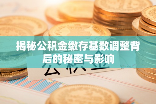 新河揭秘公积金缴存基数调整背后的秘密与影响