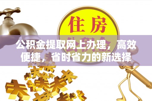 新河公积金提取网上办理，高效便捷，省时省力的新选择