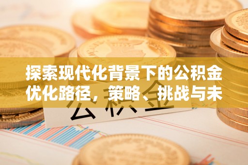 新河探索现代化背景下的公积金优化路径，策略、挑战与未来展望