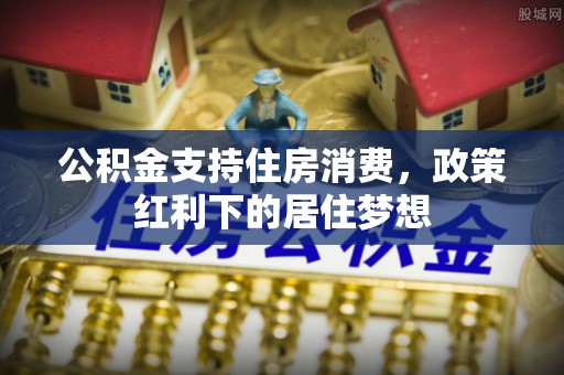 新河公积金支持住房消费，政策红利下的居住梦想