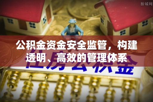 新河公积金资金安全监管，构建透明、高效的管理体系