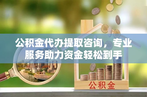 新河公积金代办提取咨询，专业服务助力资金轻松到手