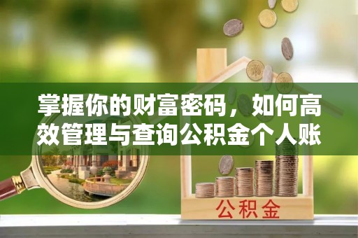 新河掌握你的财富密码，如何高效管理与查询公积金个人账户信息