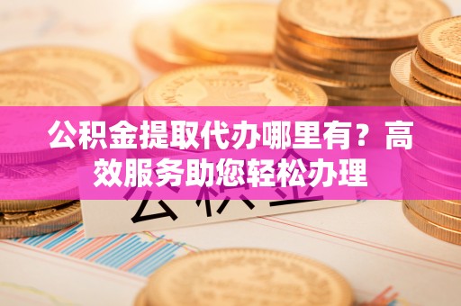 新河公积金提取代办哪里有？高效服务助您轻松办理