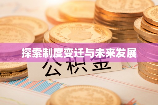 新河探索制度变迁与未来发展